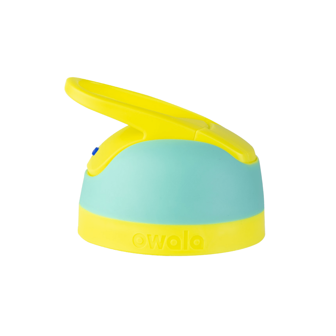 Replacement Lids t77r4