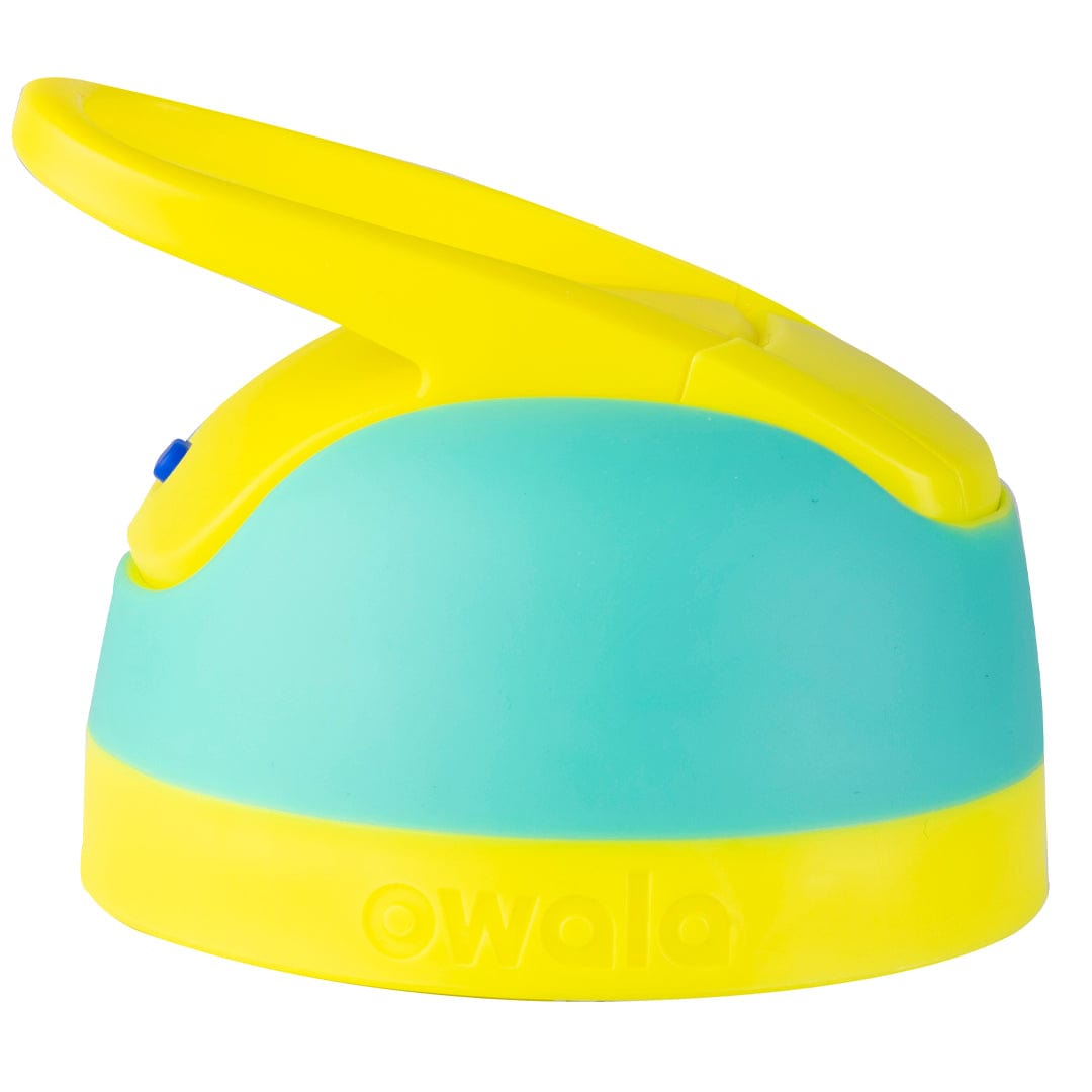 Replacement Lids t77r4