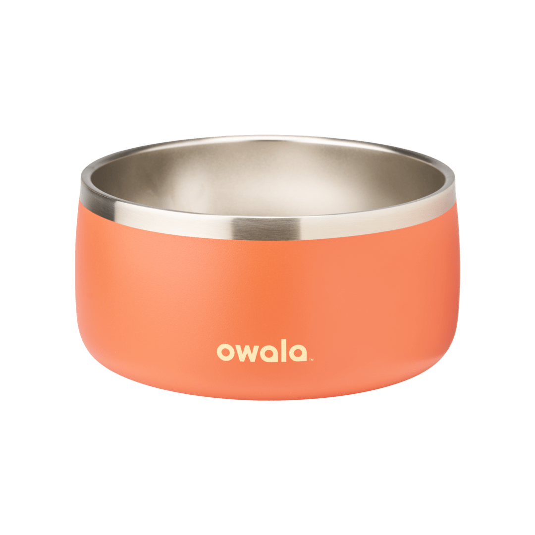 Pet Bowl mrtk2