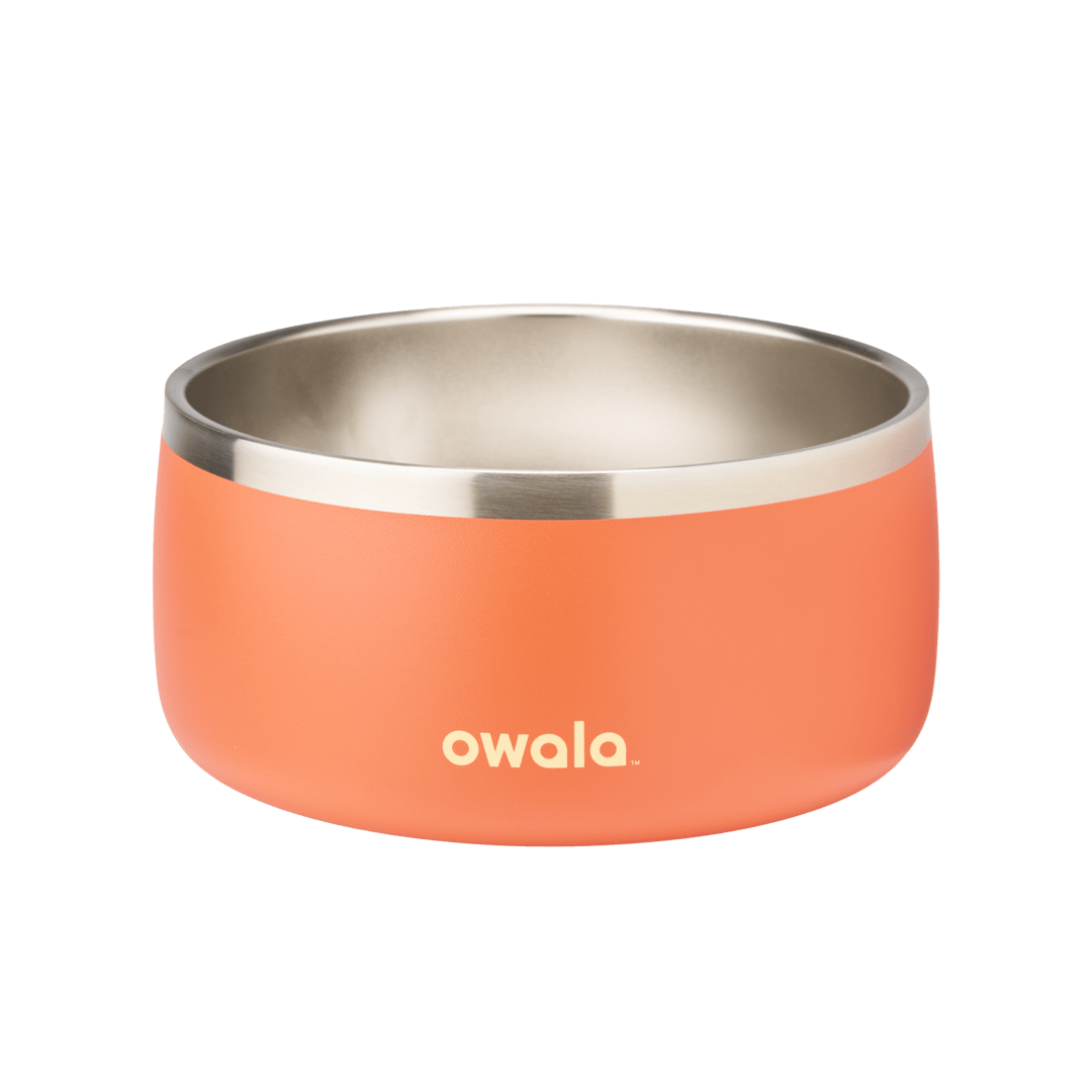 Pet Bowl mrtk2