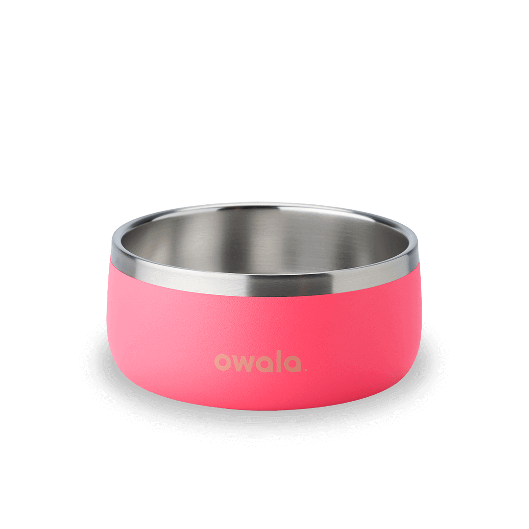 Pet Bowl mrtk2