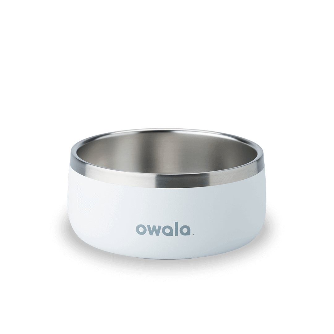 Pet Bowl mrtk2