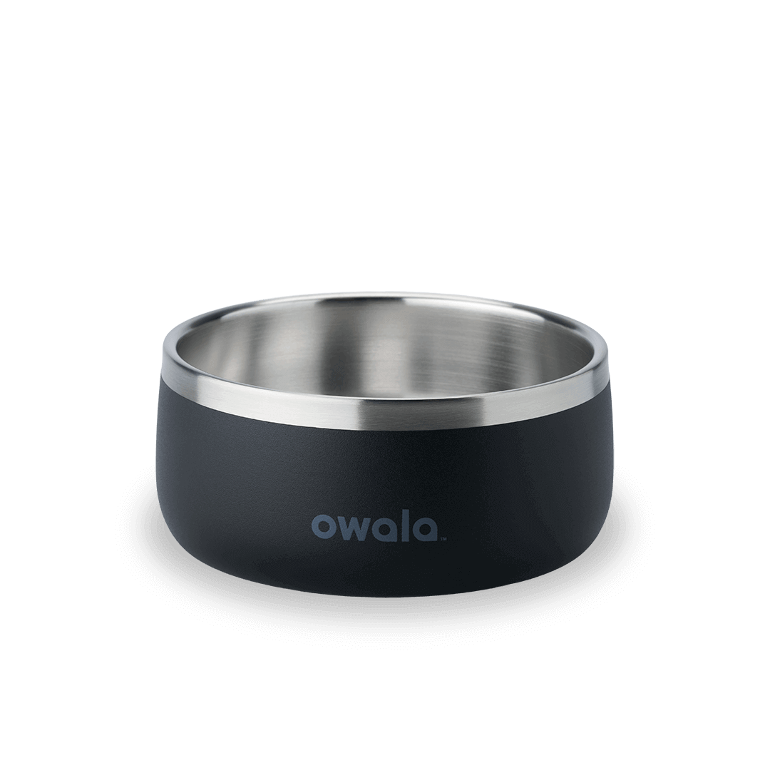 Pet Bowl mrtk2