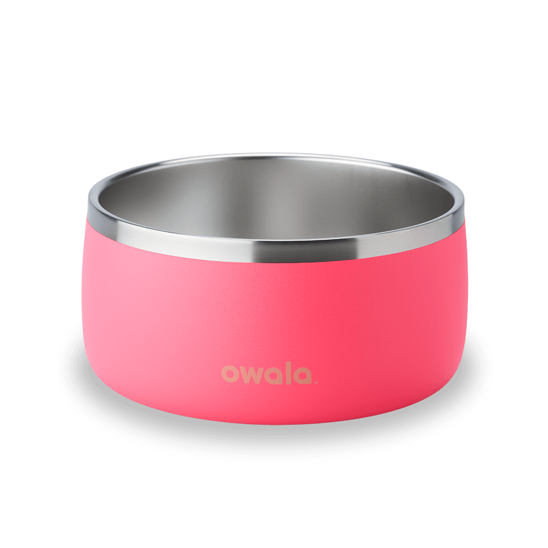Pet Bowl mrtk2